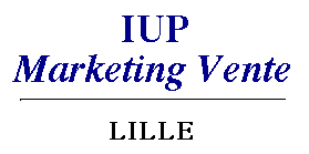 IUP Marketing Vente Lille